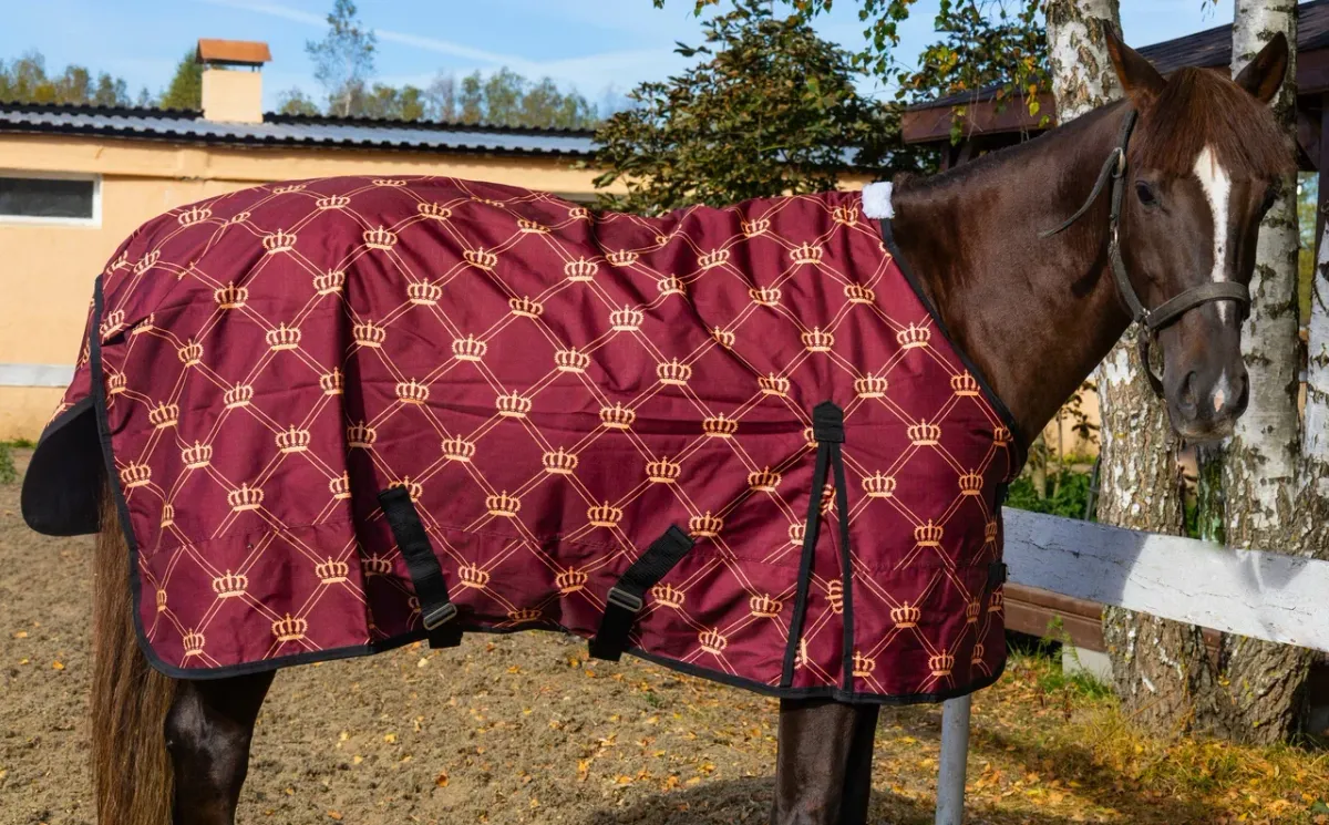 Дождевая попона CROWN HorsePlanet 100grm