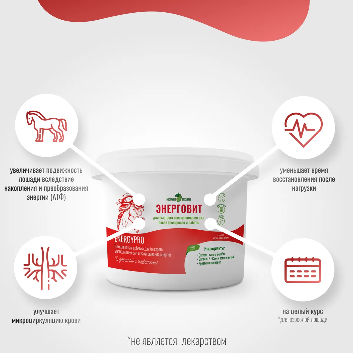 ЭнергоВит EnergyPro для лошадей, 1000 г