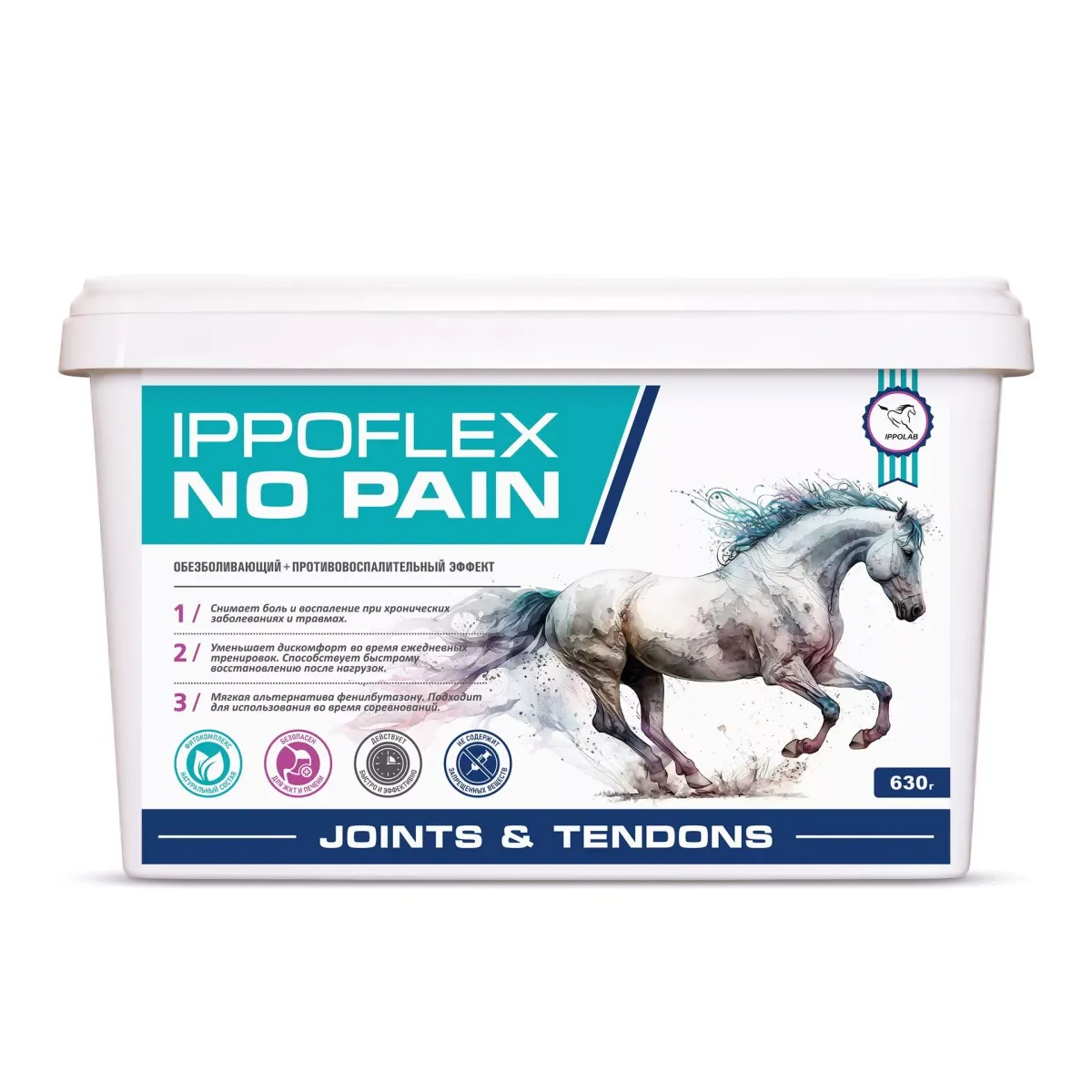 IPPOFLEX NO PAIN