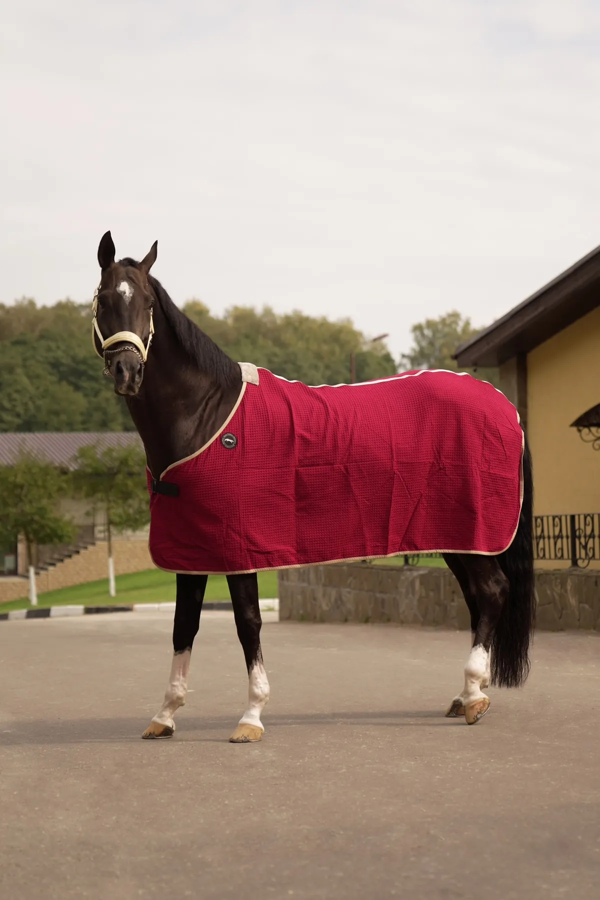 Попона сушильная вафельная (135-140)