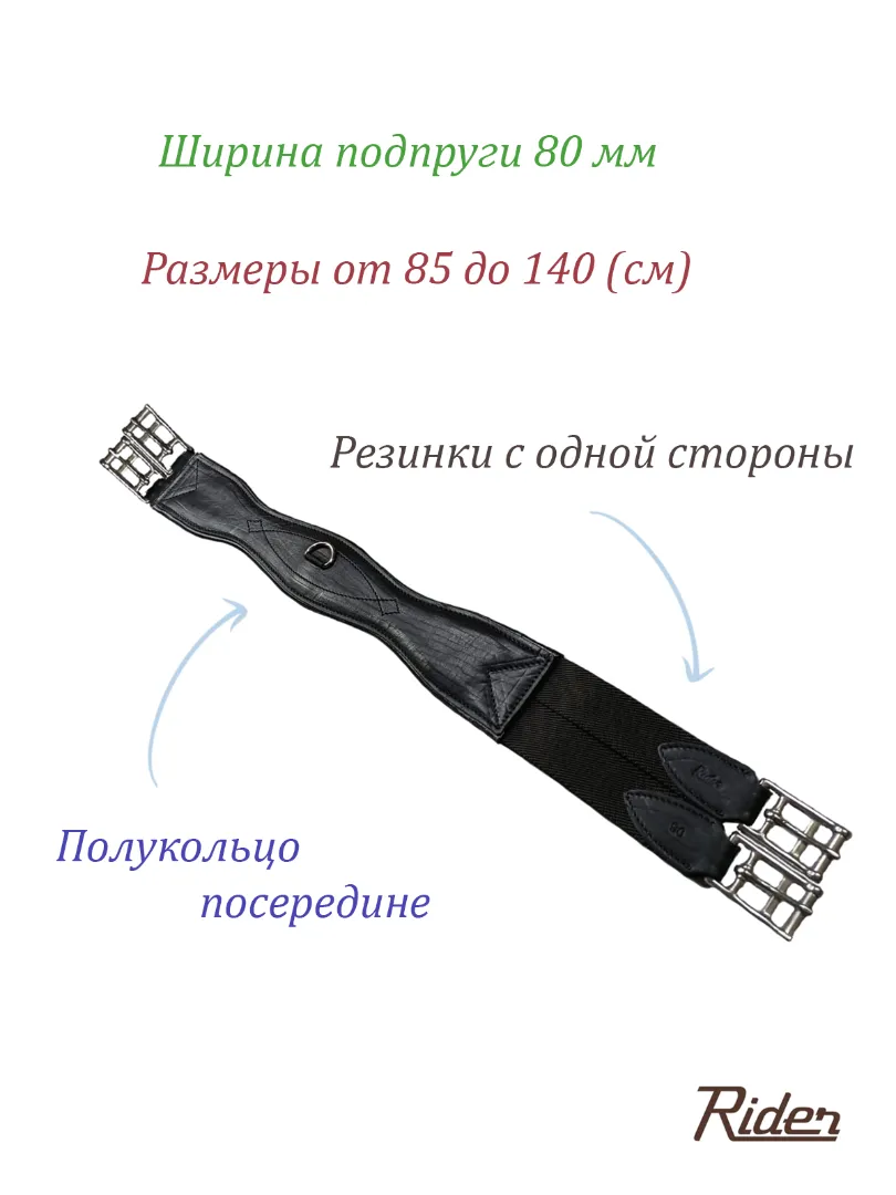 Подпруга анатомическая