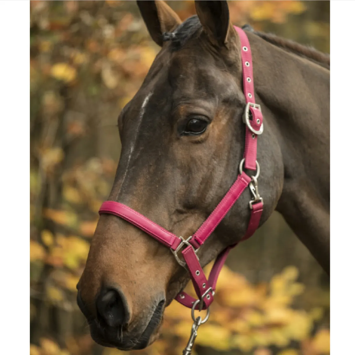 Недоуздок для лошади LAMI-CELL "LC"