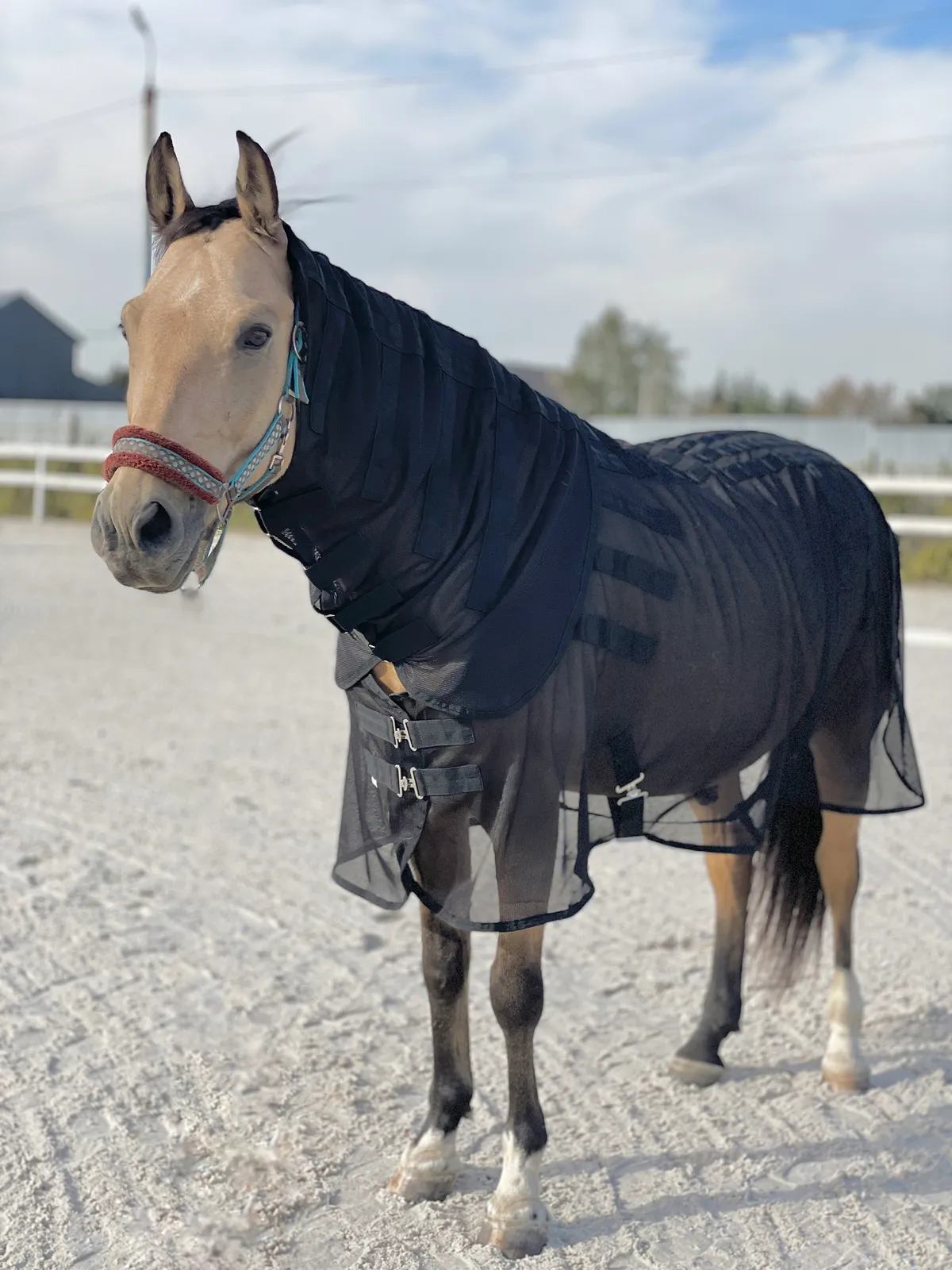 Магнитная попона 145