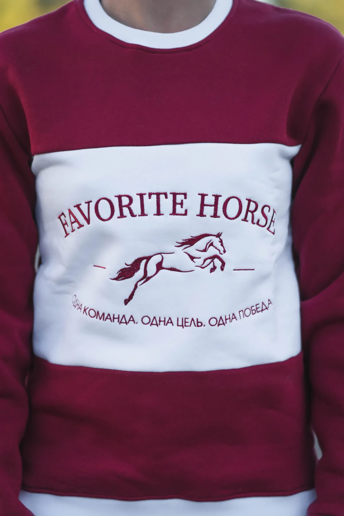Свитшот утеплённый FAVORITE HORSE (бордовый)