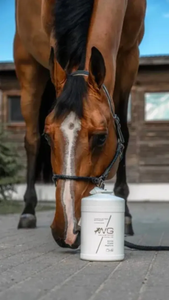 WG Влажные бесспиртовые салфетки для лошадей WG Equestrian Horse Clean Napkins