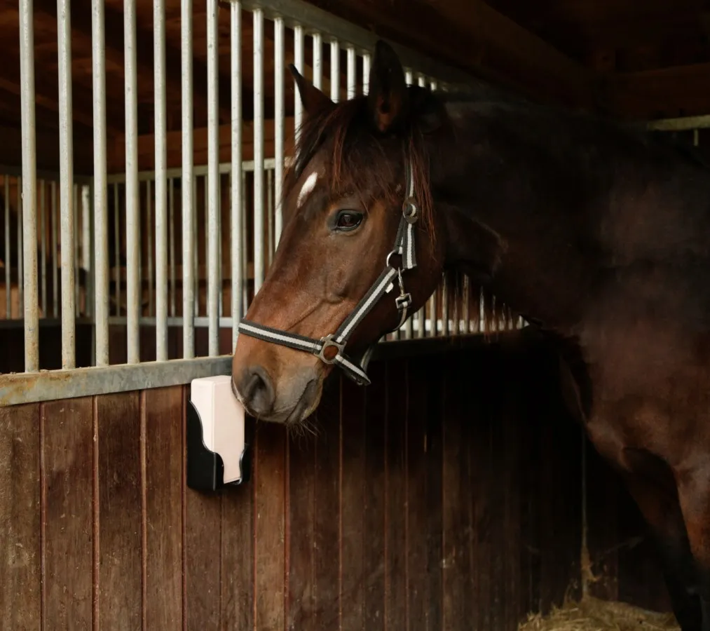Подставка под соль