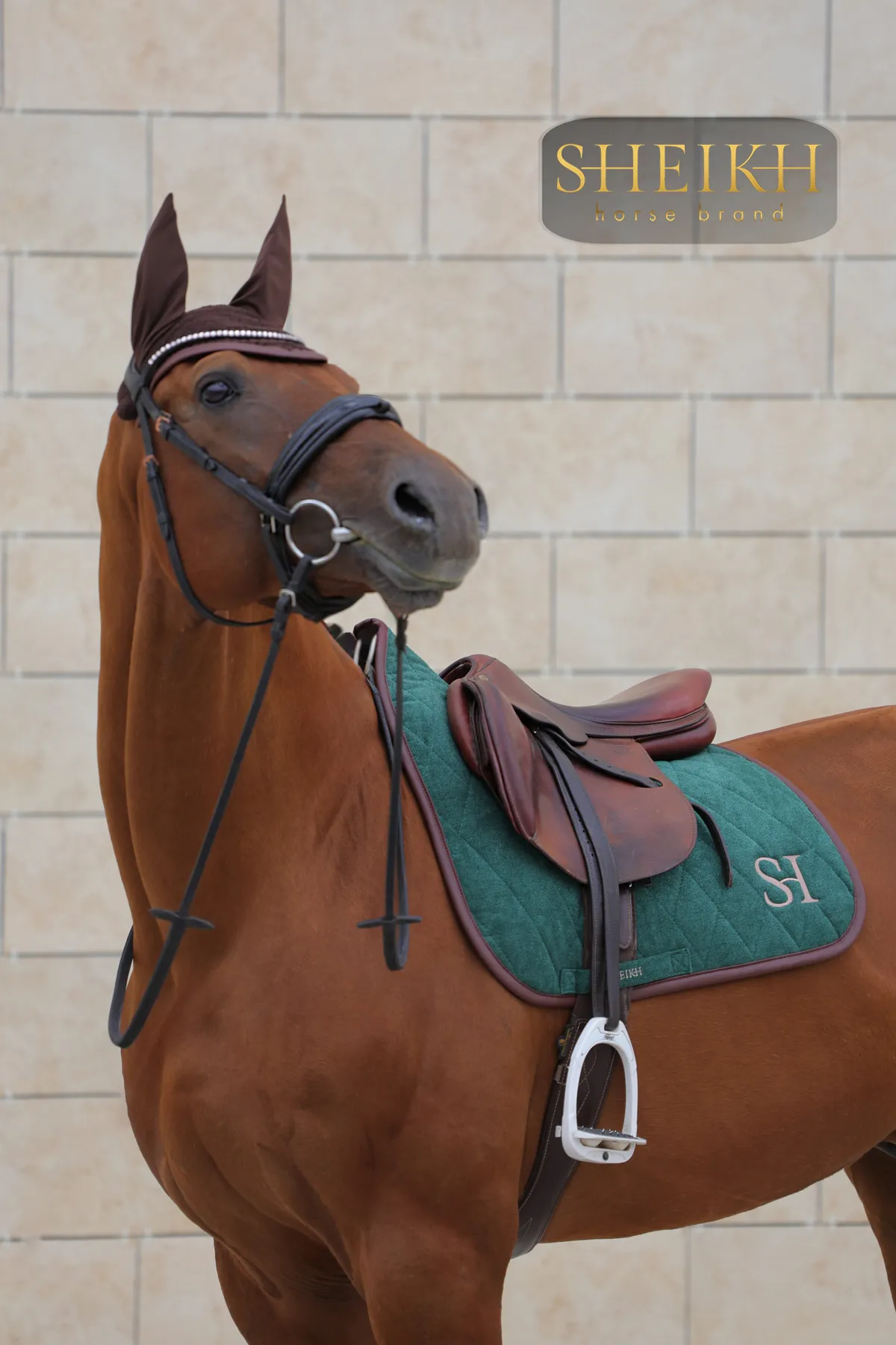 Вальтрап выездковый для верховой езды, конного спорта SHEIKH HORSE BRAND, коллекция FOREST, зеленый