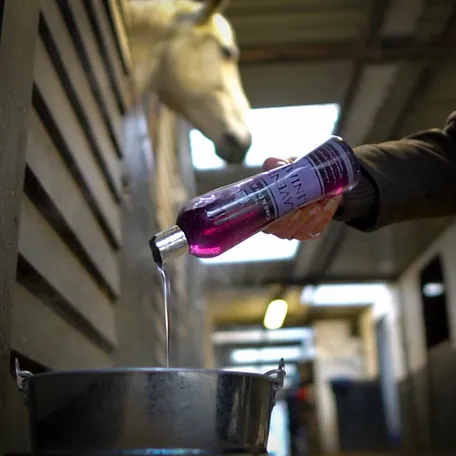 Гель двойной "Lavender liniment"