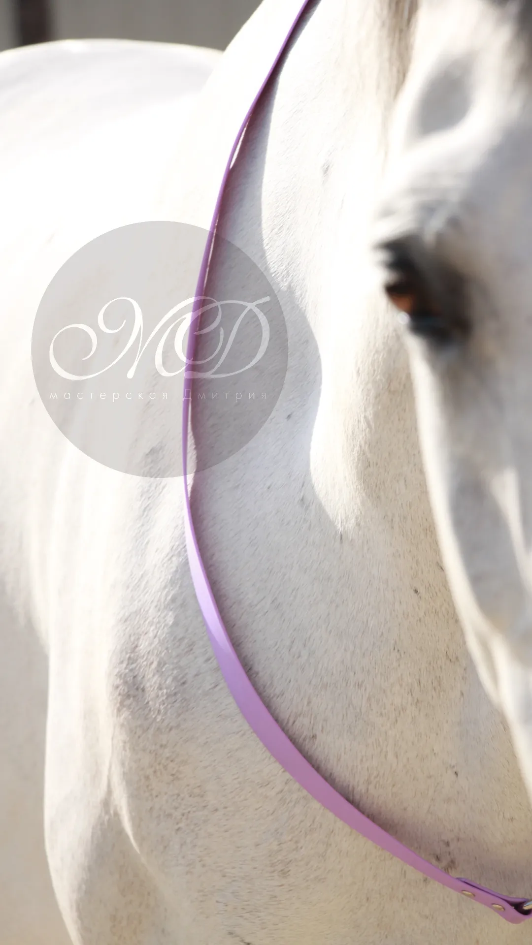 Кордео из биотана 