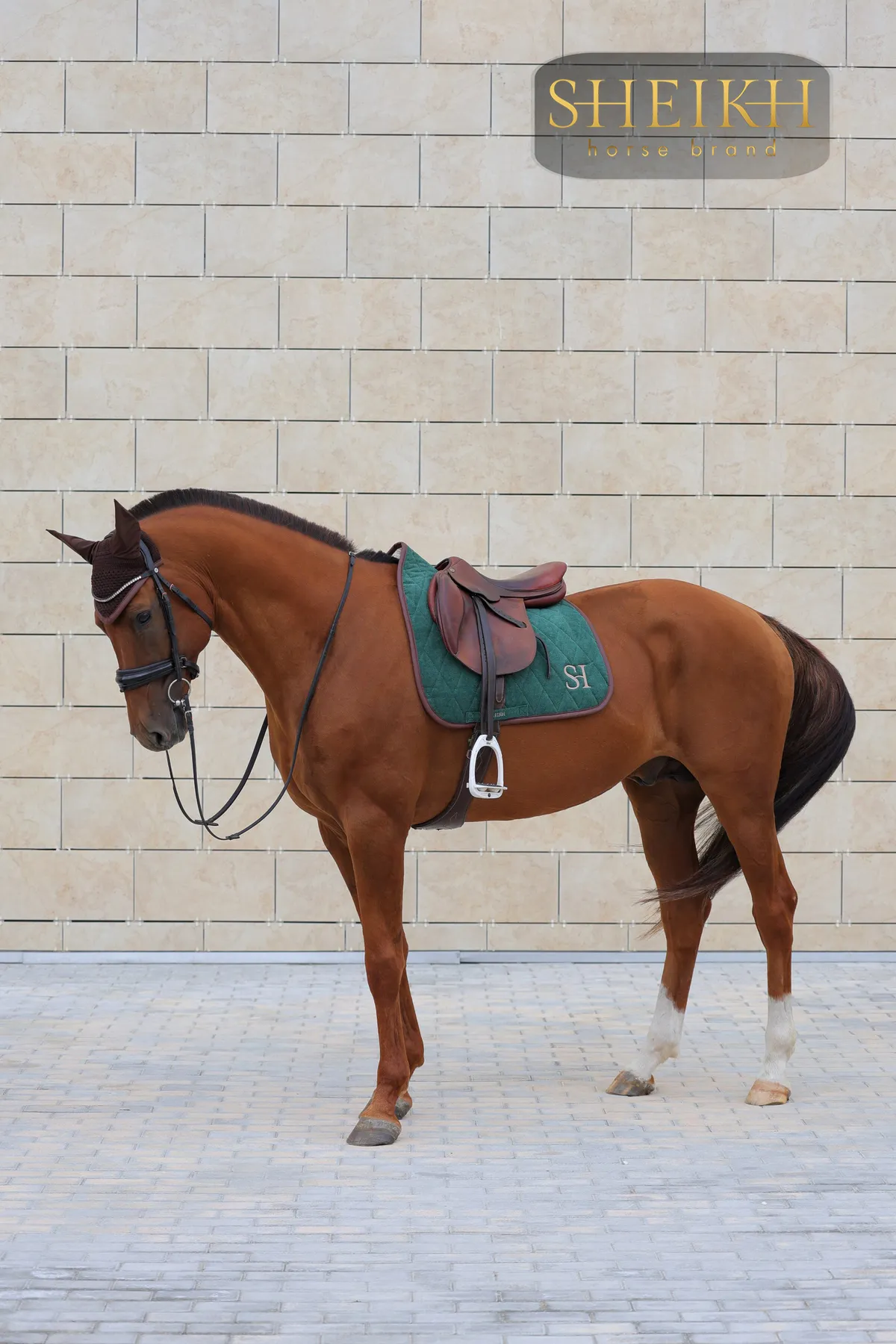 Вальтрап выездковый для верховой езды, конного спорта SHEIKH HORSE BRAND, коллекция FOREST, зеленый