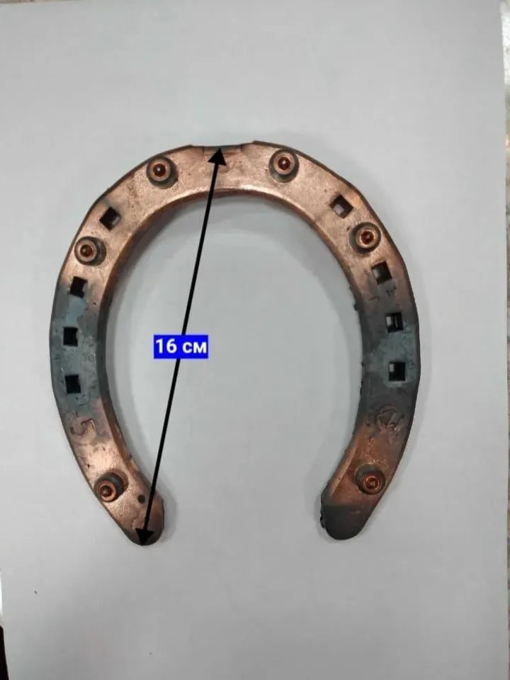 Подкова для прогулок по асфальту, 8*20 mm с 6 шипами, №5, пара
