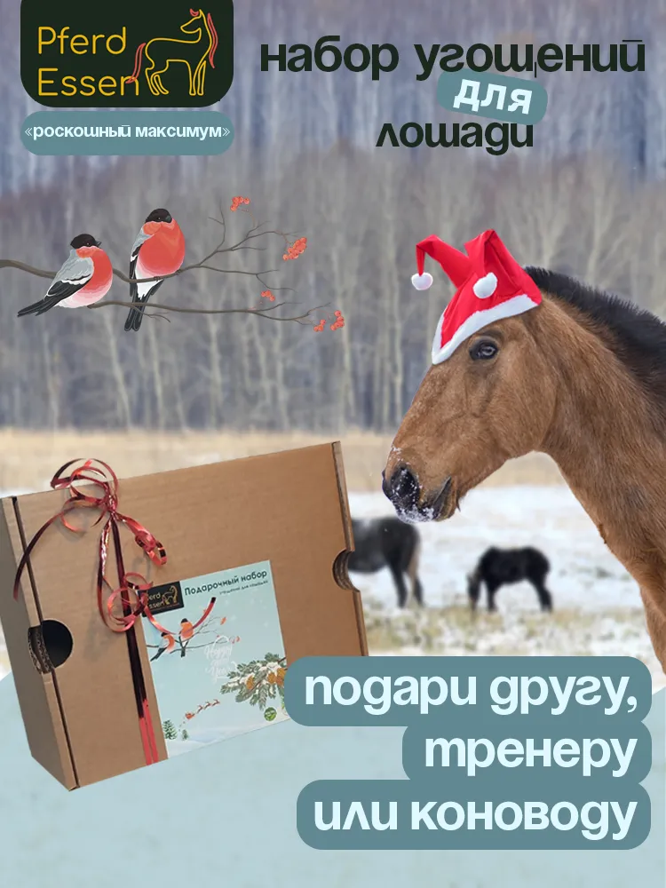 Лакомства для лошадей и пони в наборе PferdEssen (ликиты, козинаки, печенье)