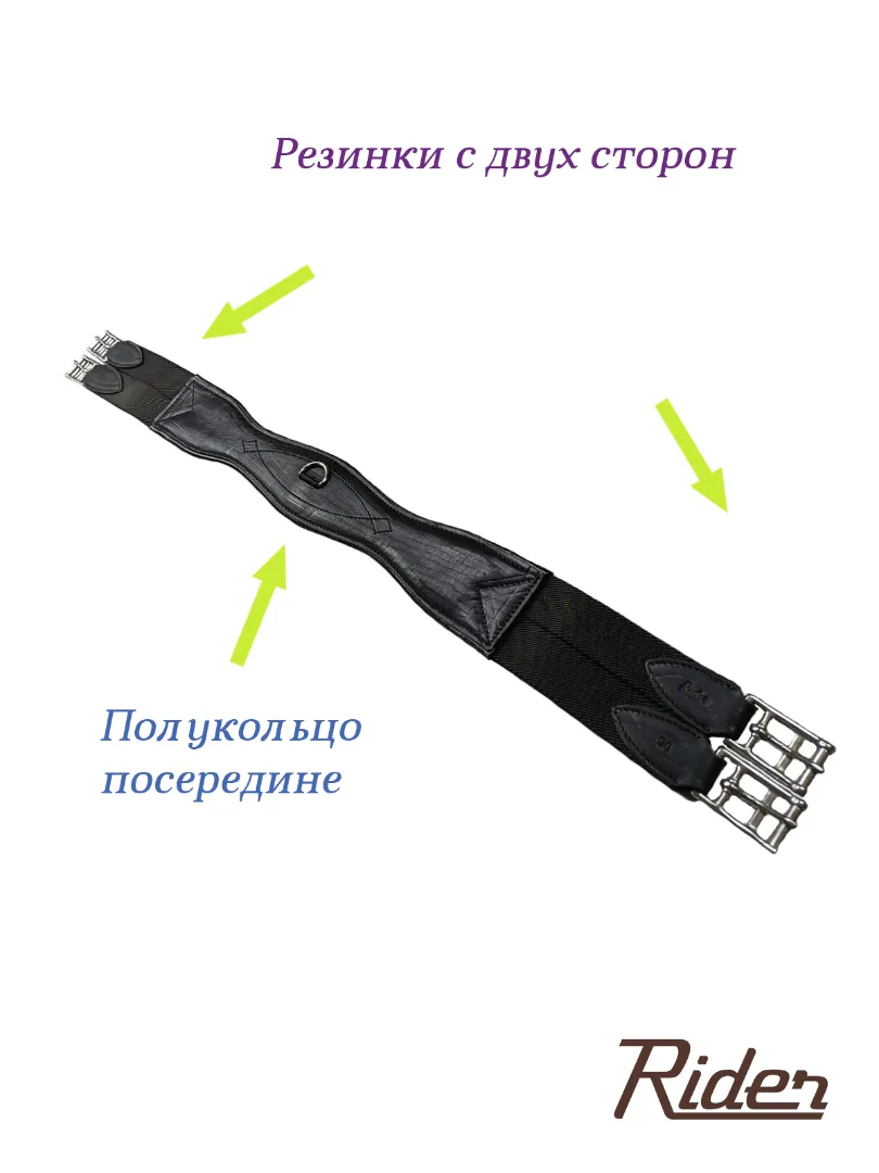 Подпруга анатомическая