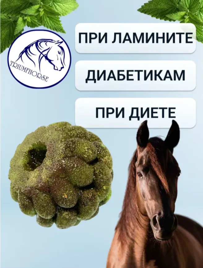 ЗАБАВА - Крапива - Уникальный леденец для лошади 