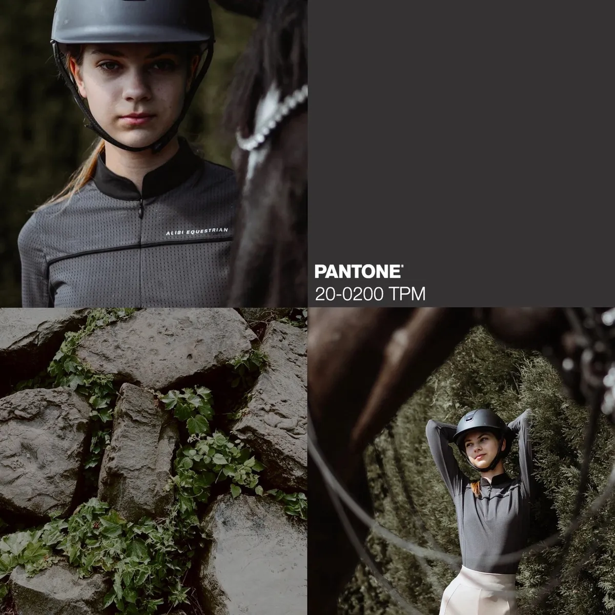 Лонгслив ALIBI Garden.