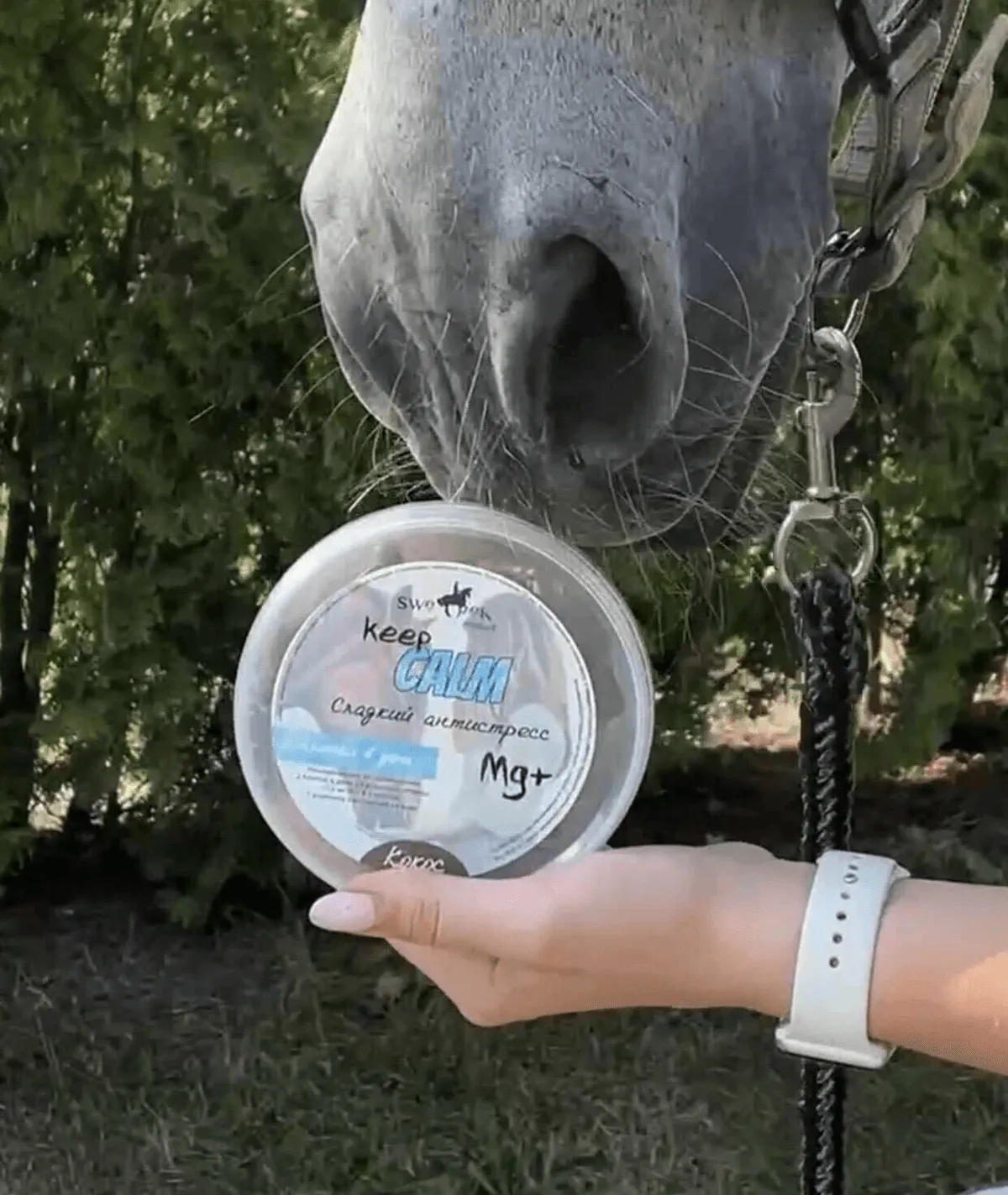 KEEP CALM сладкое угощение с успокаивающим эффектом от Sweek Product