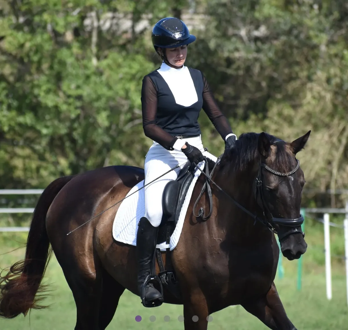 Стартовое поло Noralla Equestrian - L