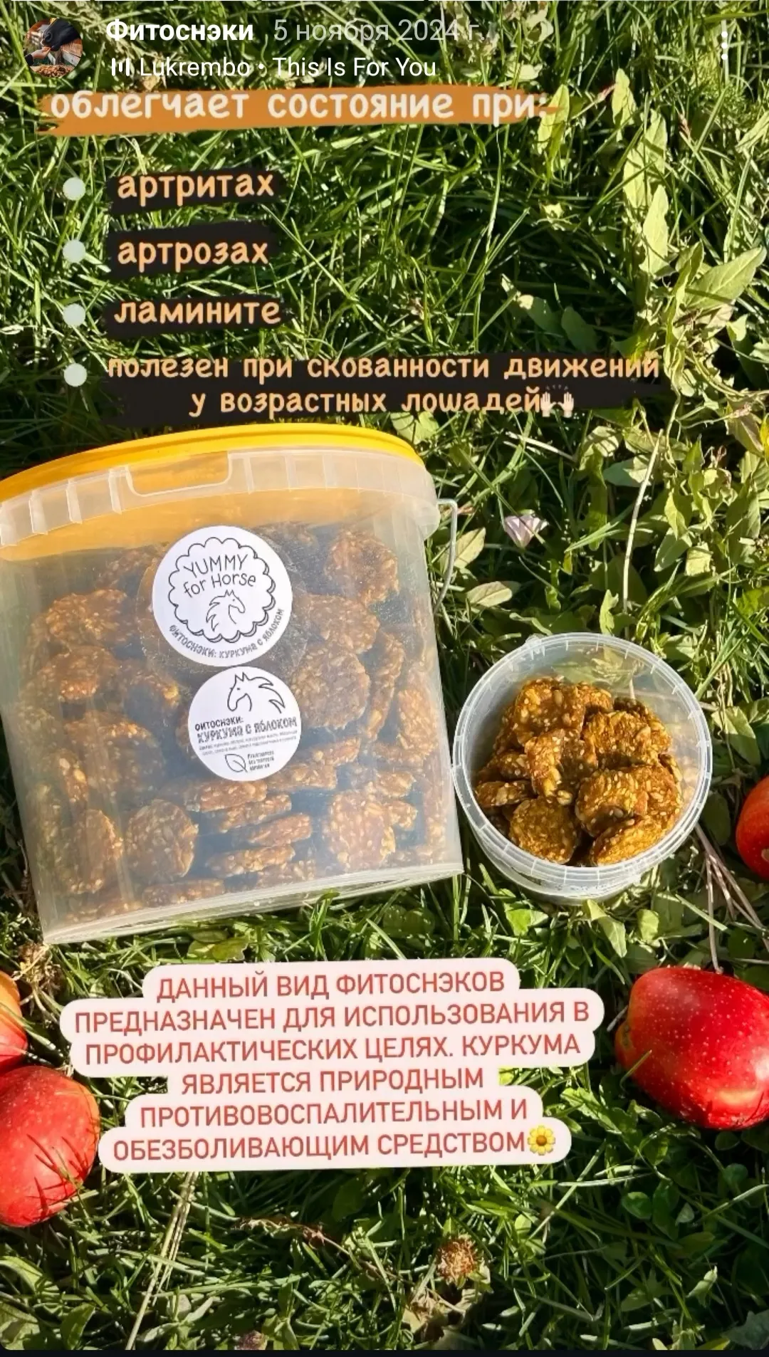 Лакомства для лошадей. Флаксы натуральные (травы имунные)