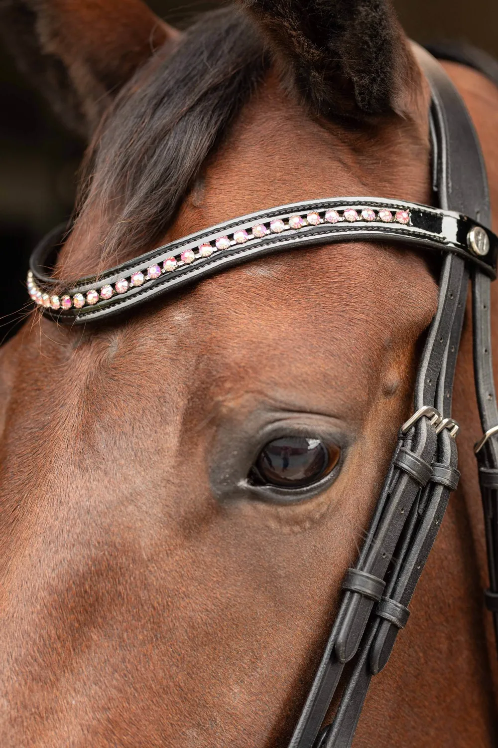 Уздечка с широким капсюлем и кристаллами Allegro от Harry's Horse