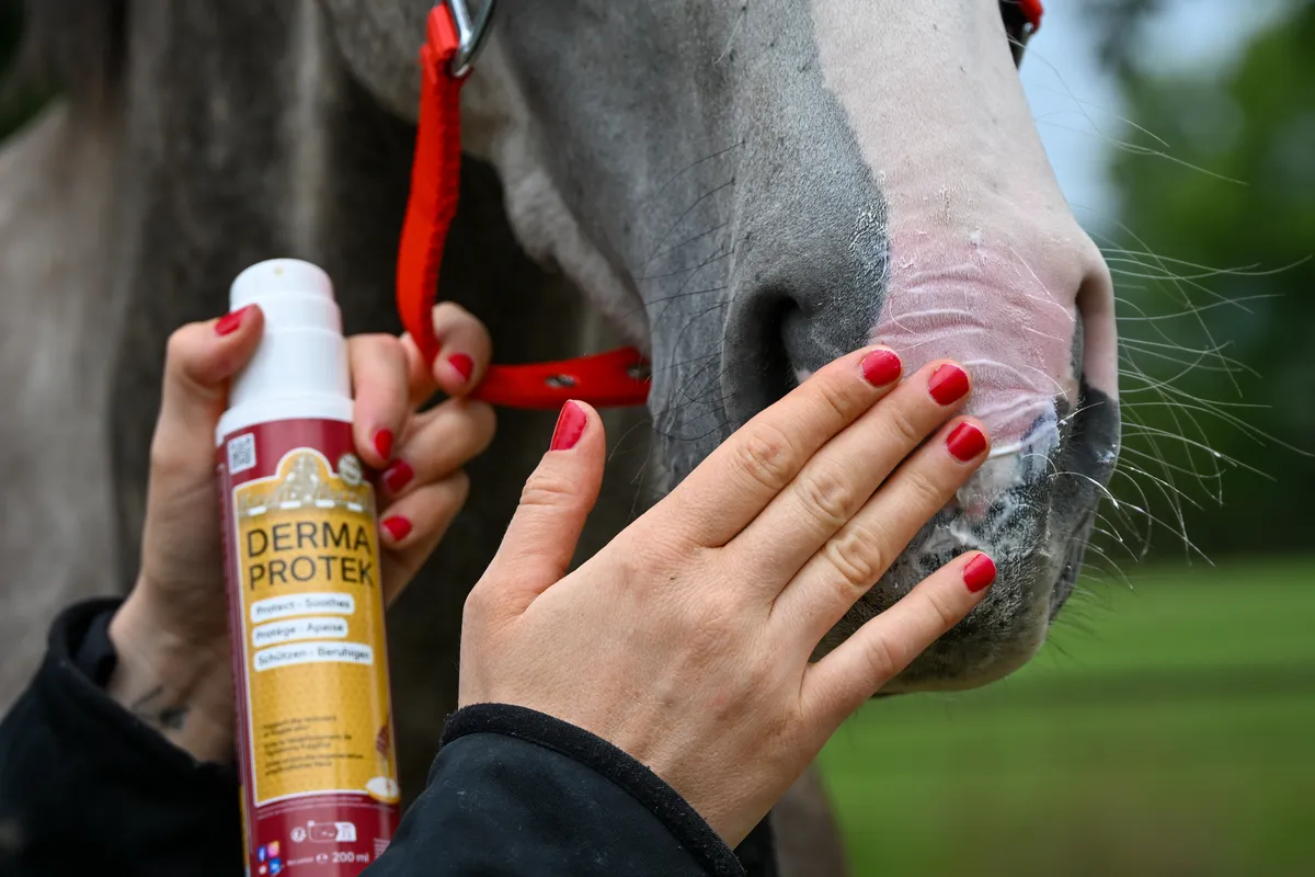 Мазь для губ дерматологическая Derma Protek для лошадей барьерная увлажняющая, Kevin Bacon's Бельгия, с дозатором и крышкой, 50 мл