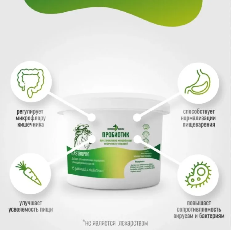 Horse-bio: Пробиотик GastroPro для нормализации пищеварения у лошадей, 1,6 кг