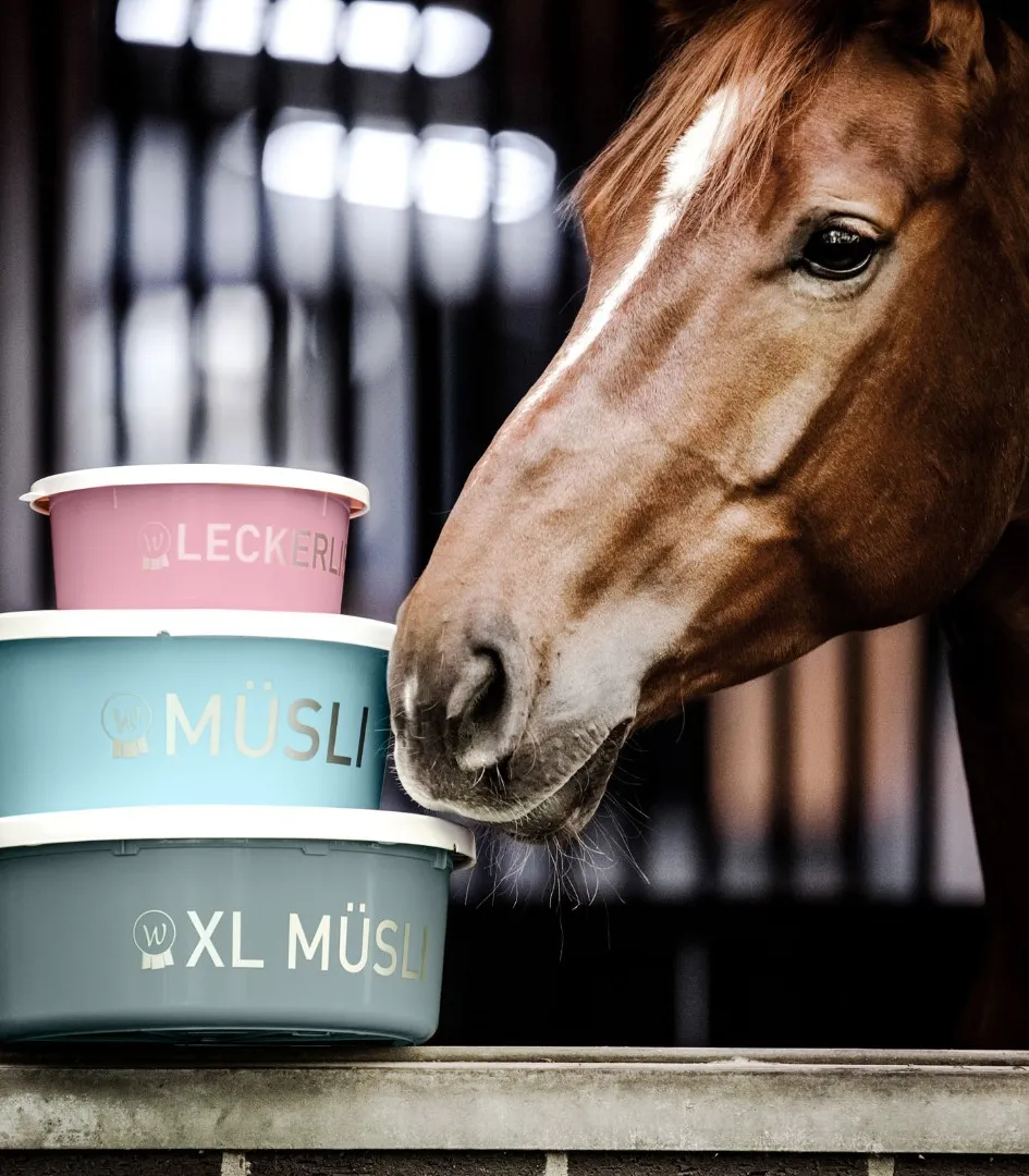 Таз с крышкой Muesli XL 8 л