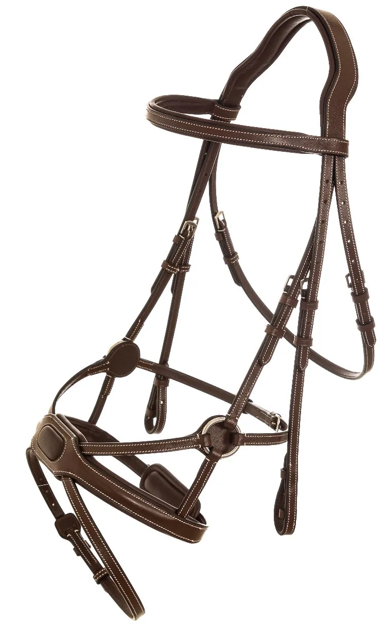 Уздечка анатомическая