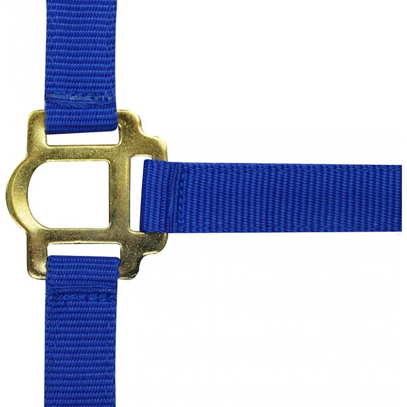 Недоуздок RIDING WORLD