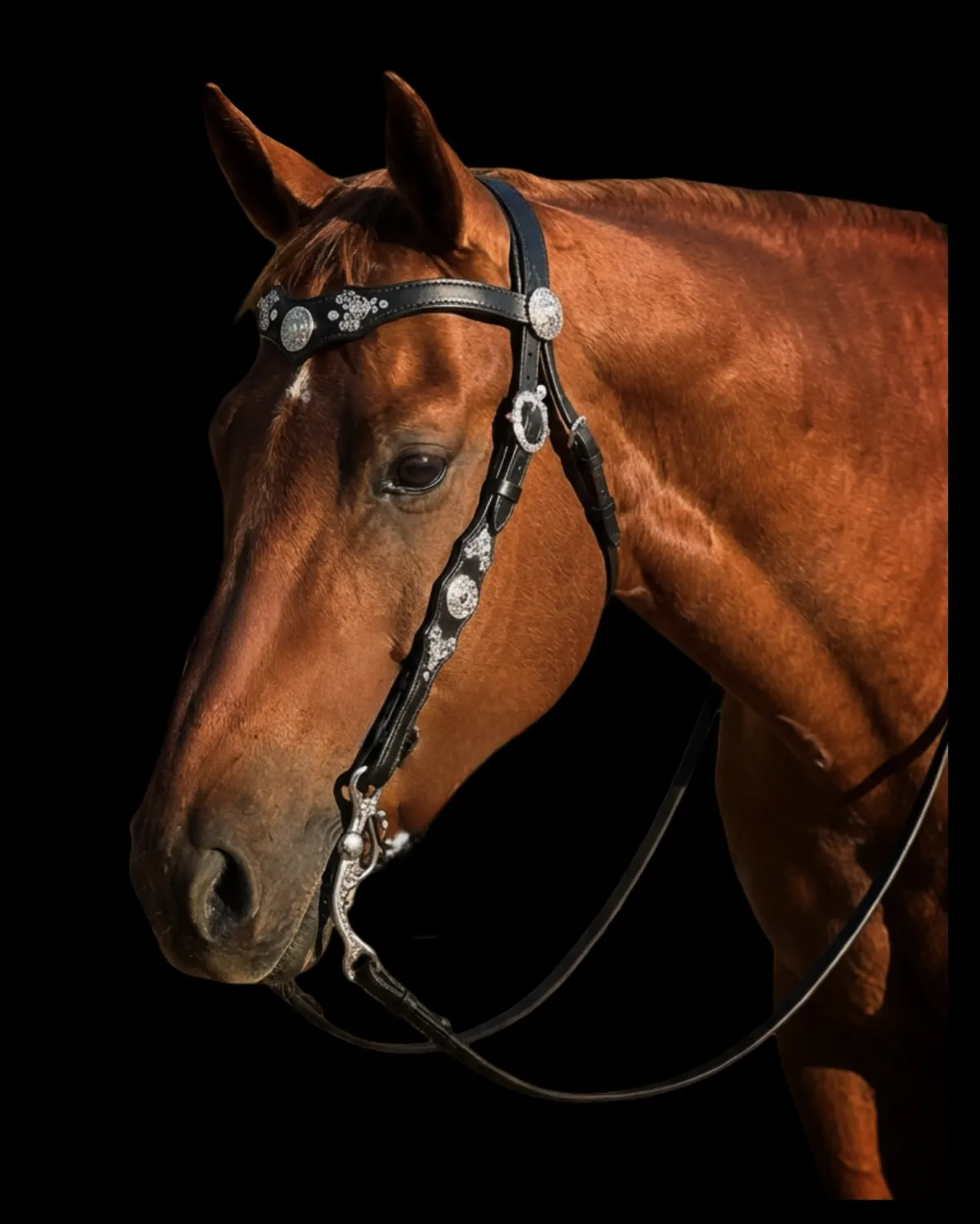 Уздечка с уклоном в стиль барокко 