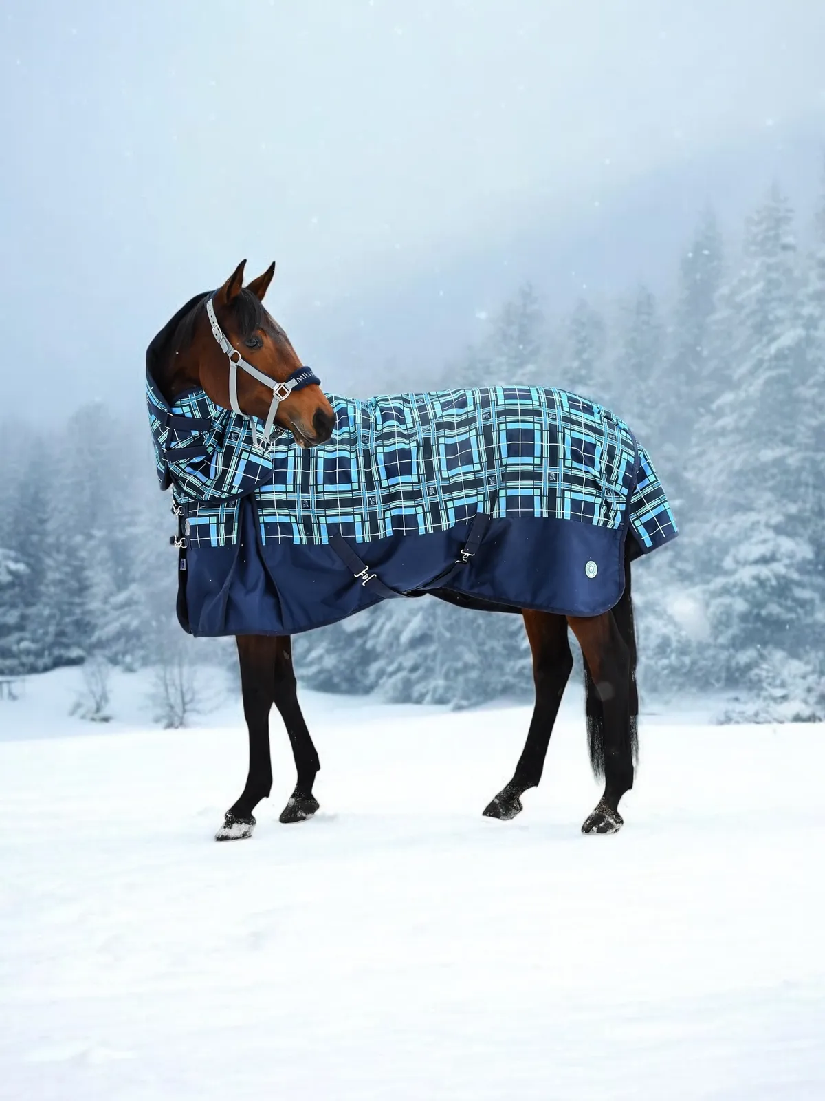 ПОПОНА ПРОГУЛОЧНАЯ OXFORD С КАПОРОМ, 300 ГР, 135см