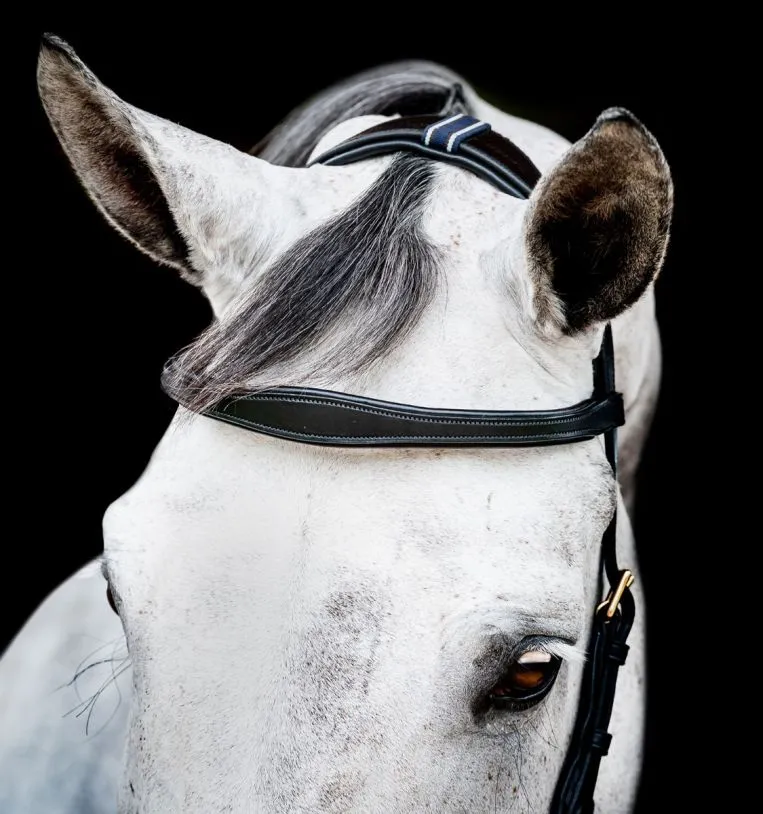 Уздечка анатомическая Horseware Micklem 2 Multi Bridle, Large Cob