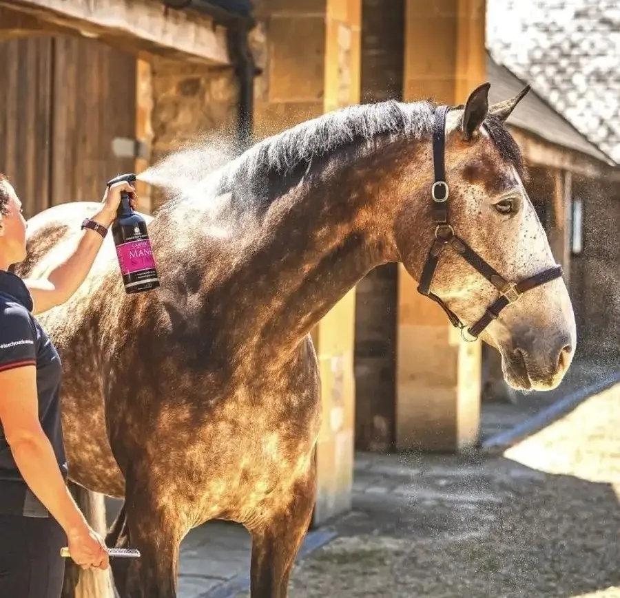 Кондиционер для гривы и хвоста Mane & Tail, 5 литров