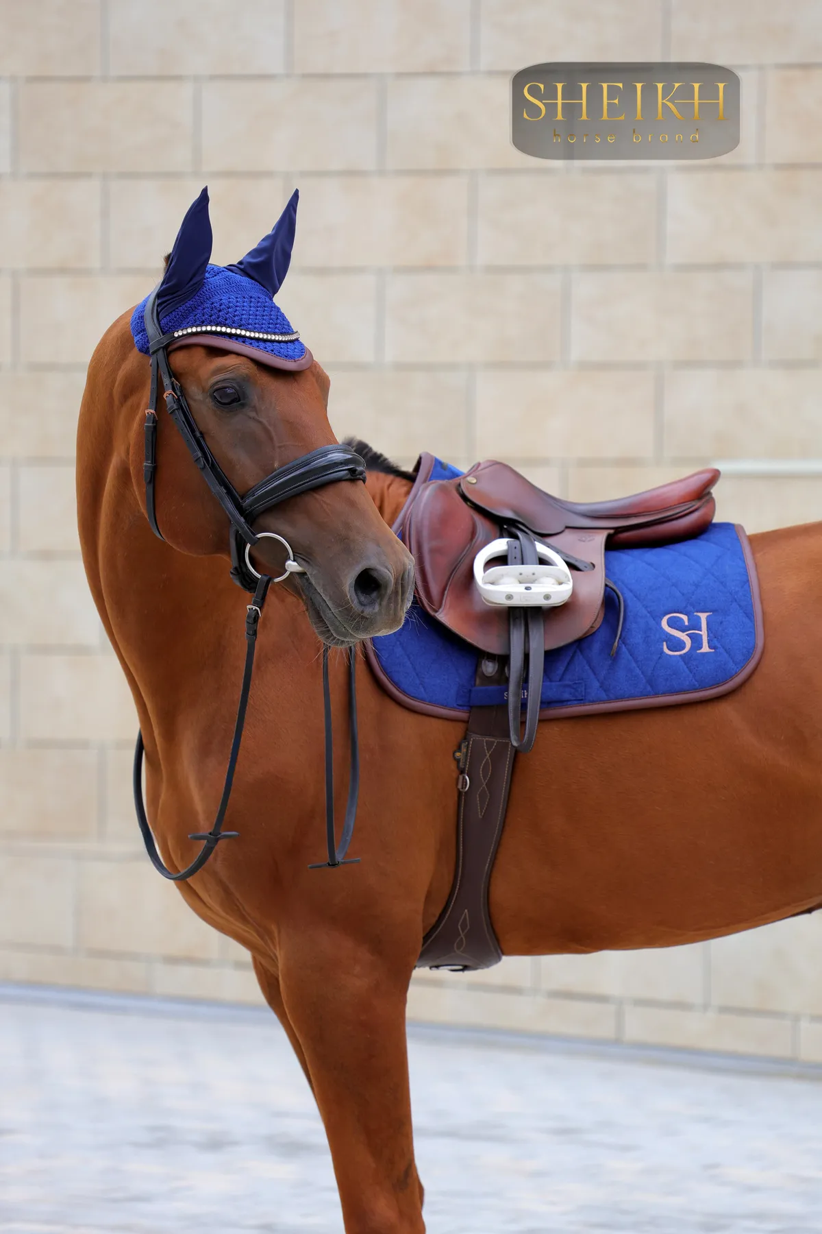 Вальтрап выездковый для верховой езды, конного спорта SHEIKH HORSE BRAND, коллекция FOREST, синий