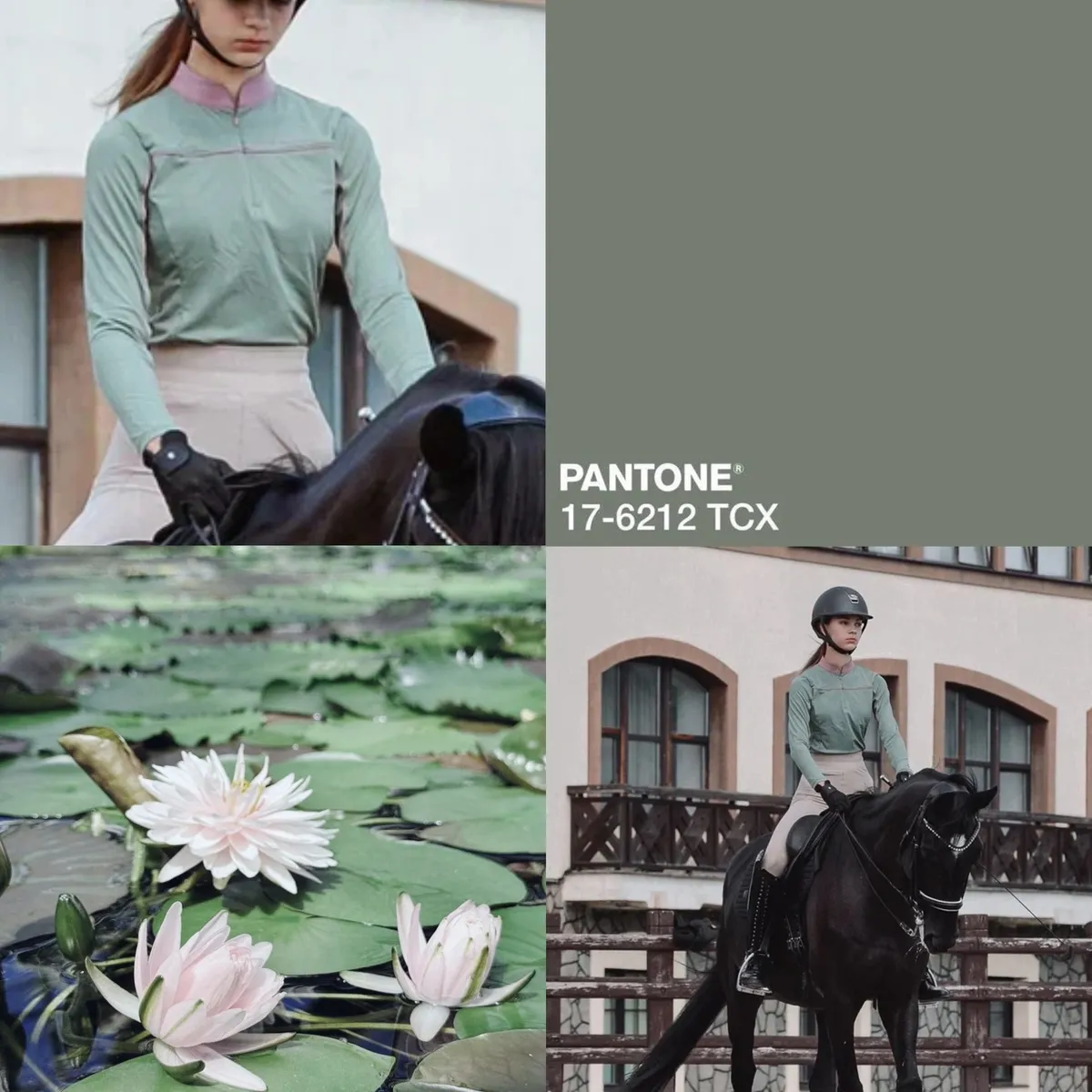 Лонгслив ALIBI Garden