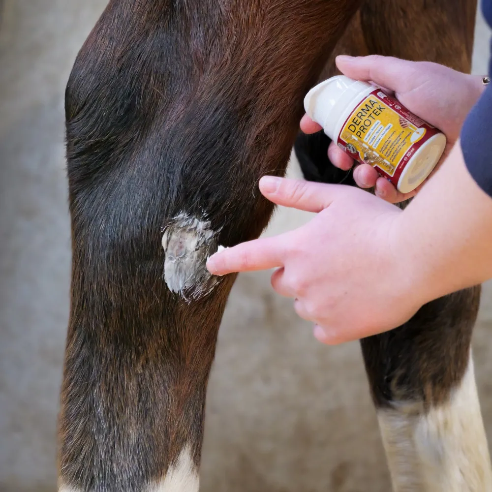 Мазь для губ дерматологическая Derma Protek для лошадей барьерная увлажняющая, Kevin Bacon's Бельгия, с дозатором и крышкой, 200 мл