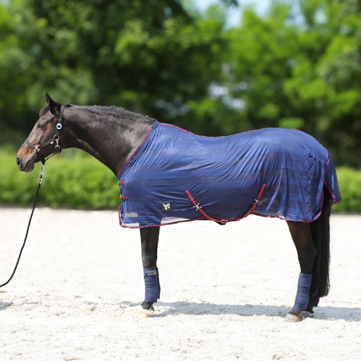 Попона York Lyra антимоскитная синяя 145 см