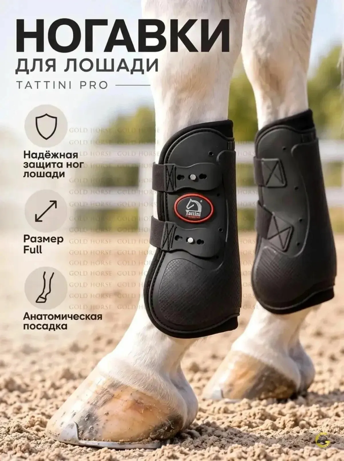 Ногавки передние Tattini Pro на винтах