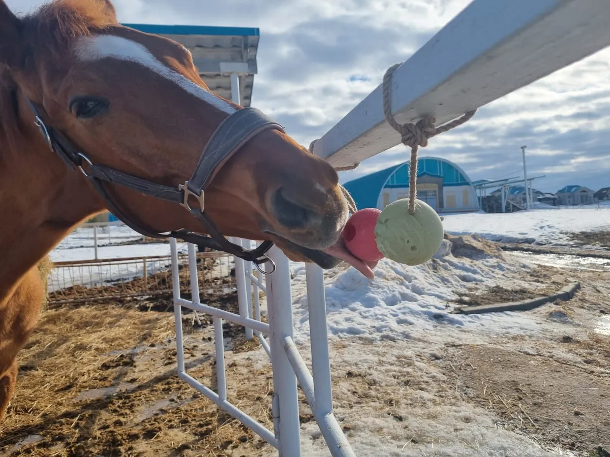 Лизунец-шар на веревке 3 ШТ (1200 гр.)