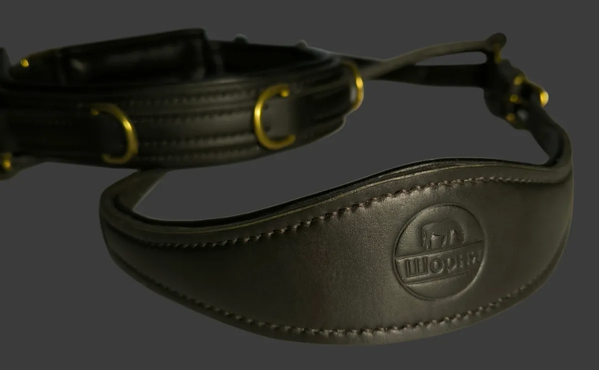 Кавессон с мягким переносьем