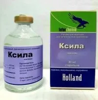 Ксила (Xyla)