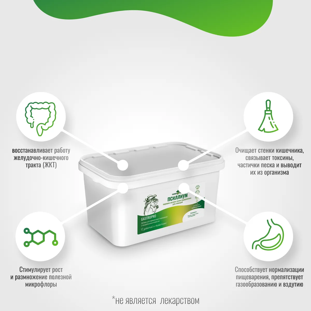Псиллиум GastroPro для лошадей, 2500 г