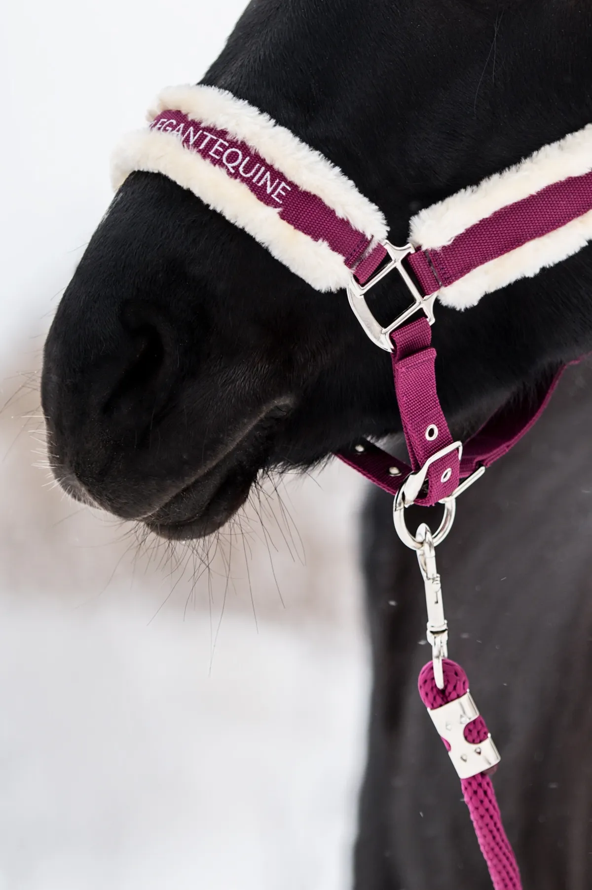 Недоуздок с искусственным мехом и чомбур из коллекции Magic II от Elegant Equine
