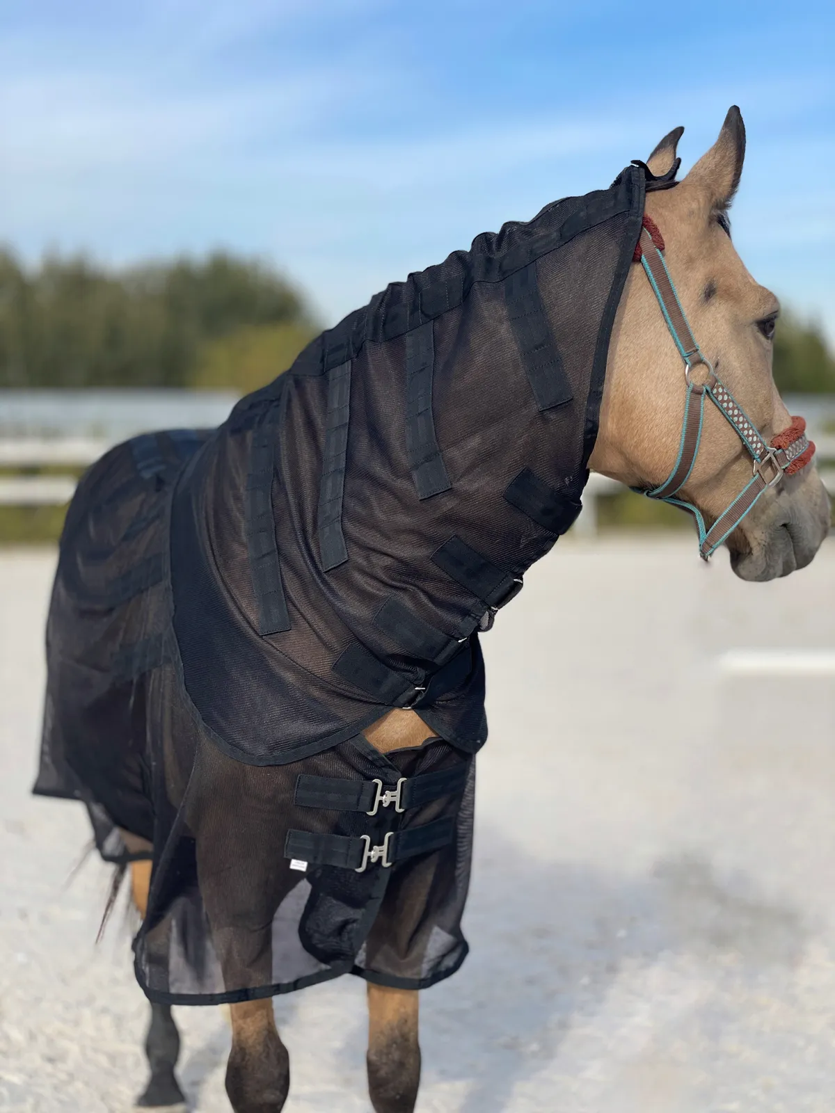 Магнитная попона 155