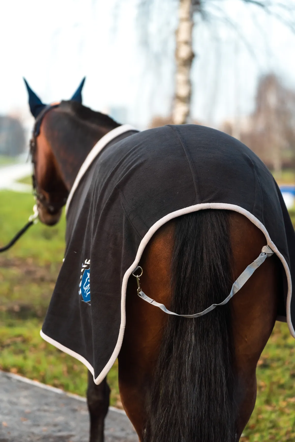Попона флисовая FAVORITE HORSE Aristocratic (черная,135)