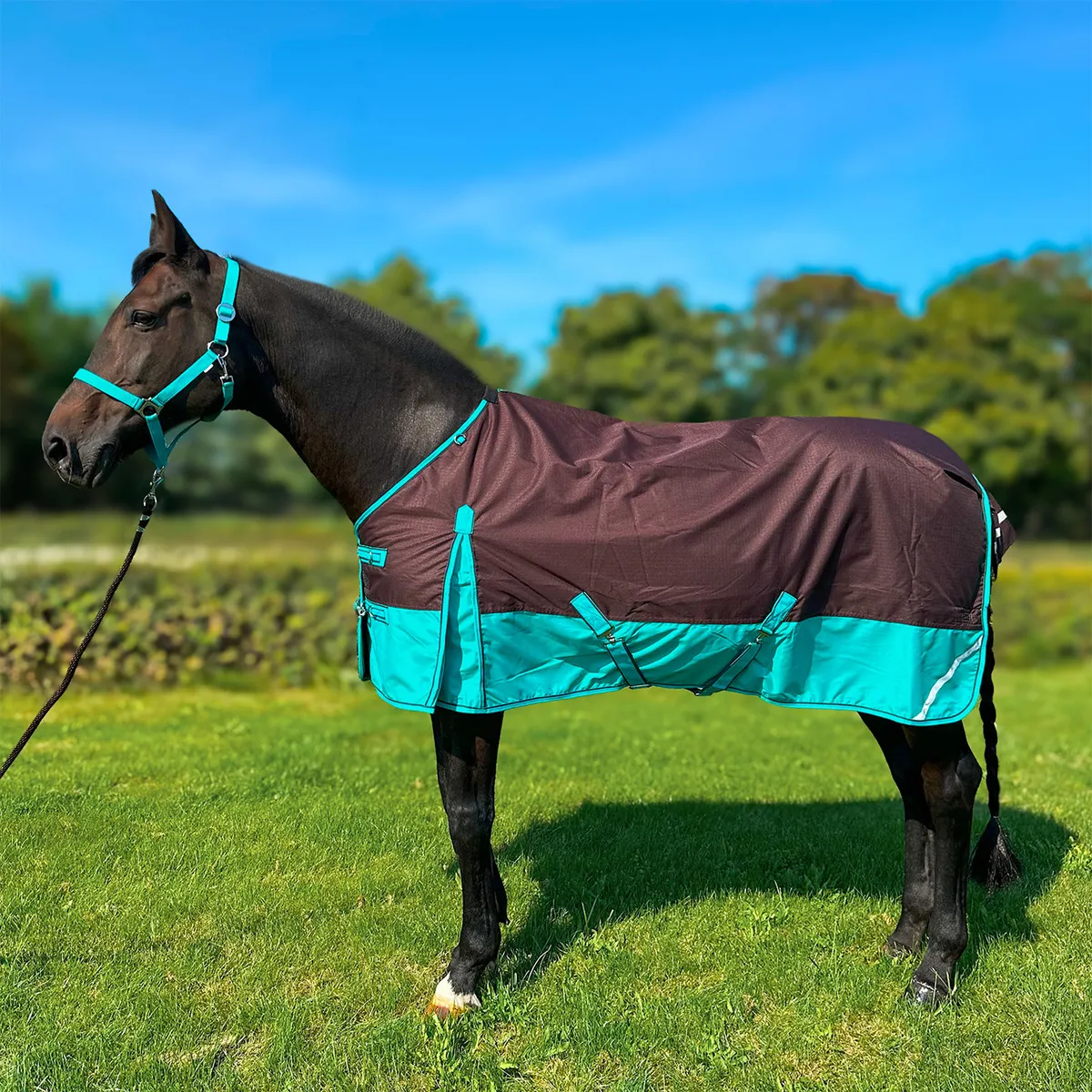 Попона York Clarion зимняя/дождевая/50 гр коричнево-бирюзовая 145 см