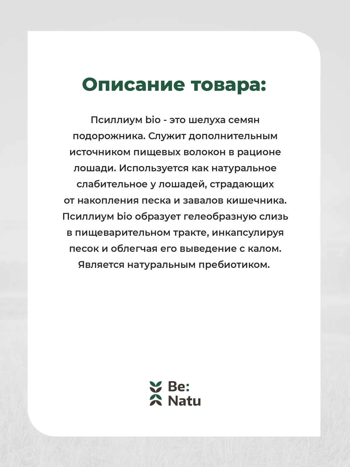 Be:Natu: Псиллиум Bio, натуральное слабительное, пребиотик для лошадей, 0,5 кг