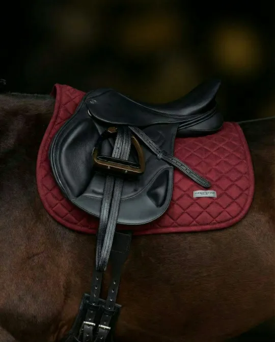 Вальтрап • Weightless • ( Бордо | конкур )