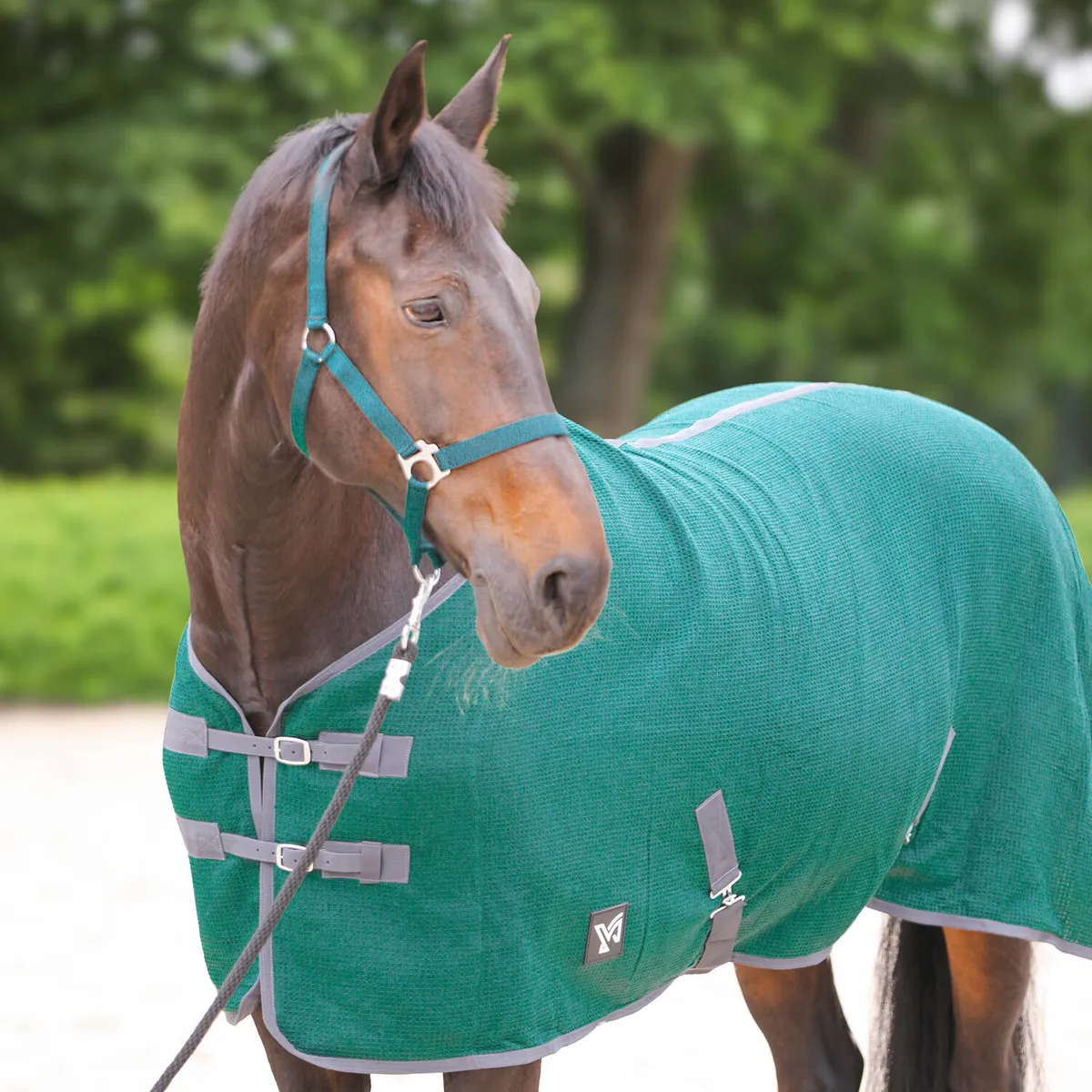 Попона York Santi вафельная/хлопковая зеленая 125 см