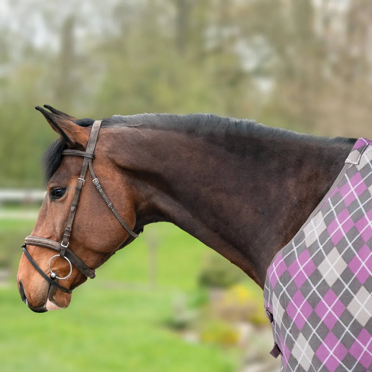 Попона HE Dalia флисовая серо-розовая 145 см