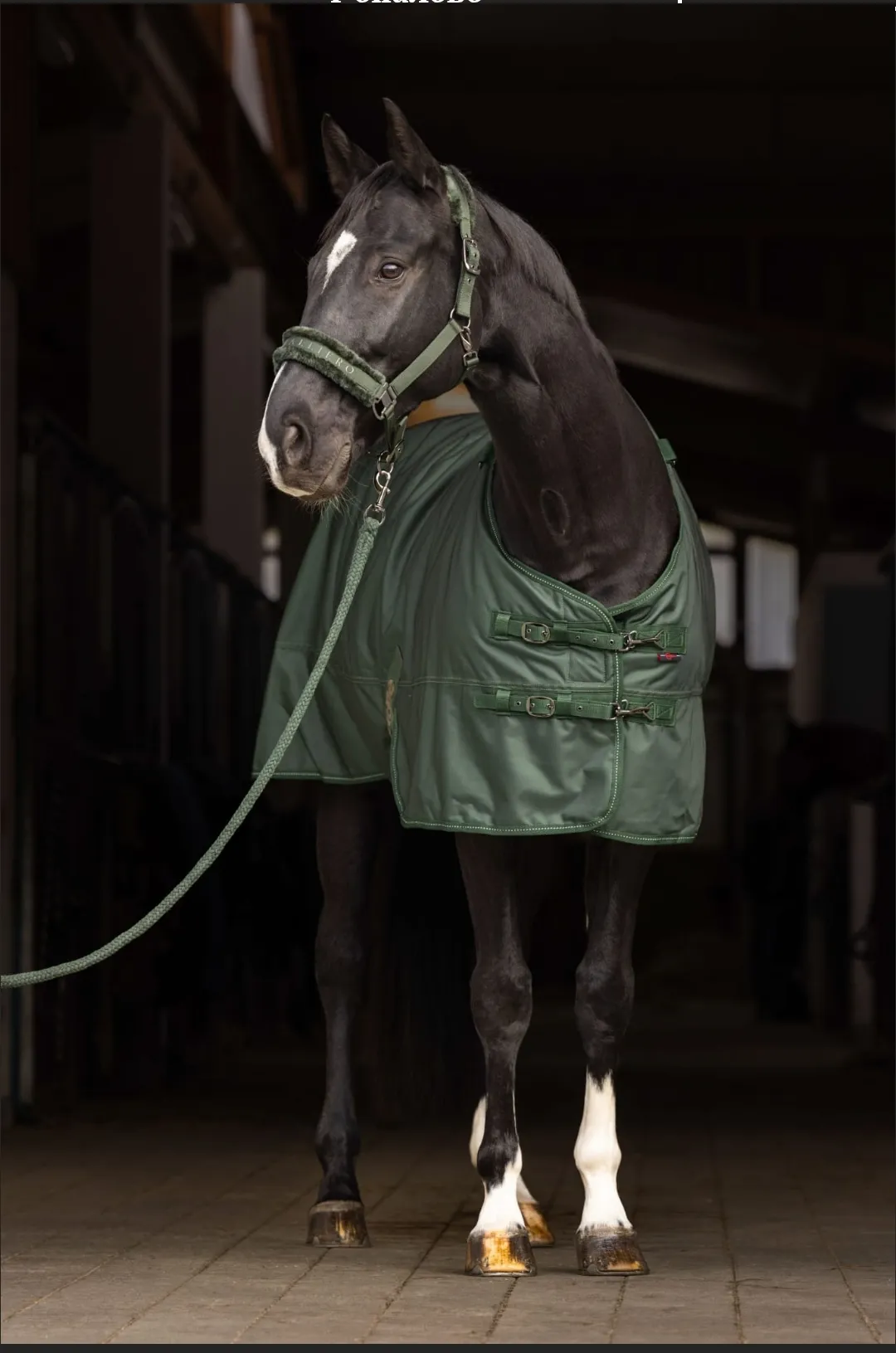 Попона прогулочная Rug Be с капором